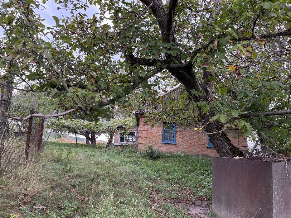 Продам будинок с Новоселівка