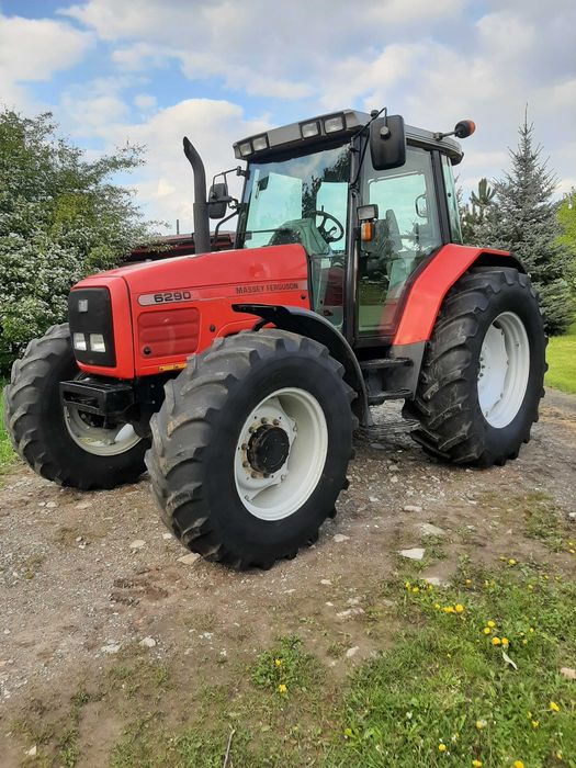 Massey Ferguson 6290 sprowadzony