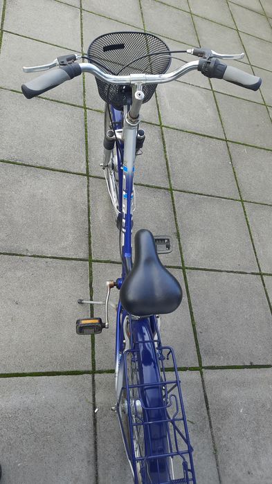 Rower CURTIS 24"