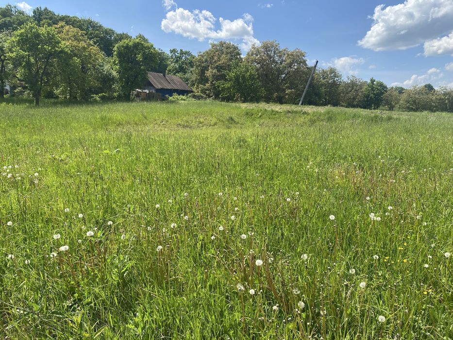 Продаж земельної ділянки с. Снячів