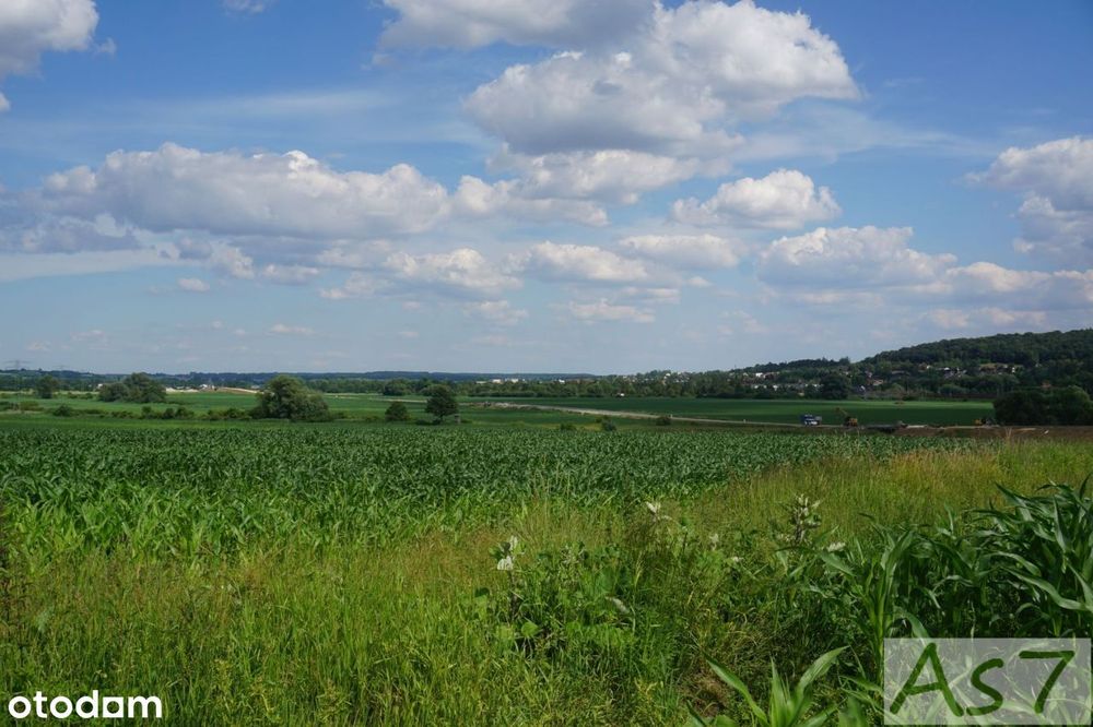 Działka, Więckowice