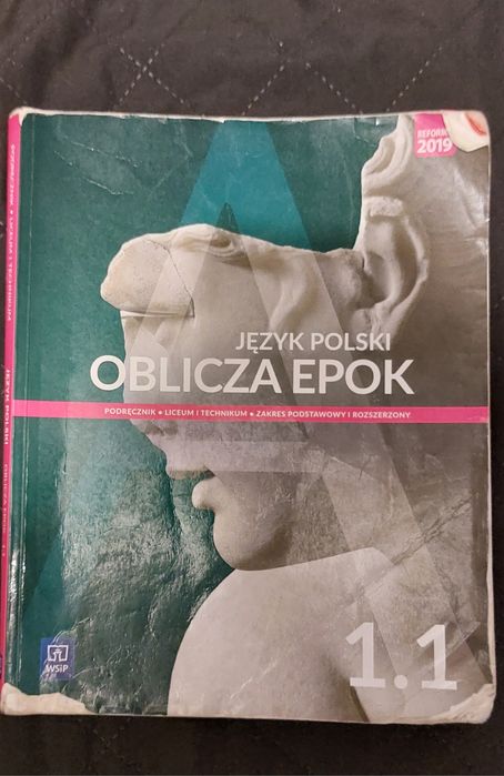 Język polski  oblicza epok 1.1 WSiP
