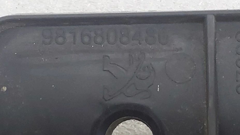 Guia de pára-choques trás direita CITROËN Berlingo Van (K9)