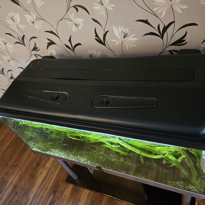 Akwarium 300l z życiem