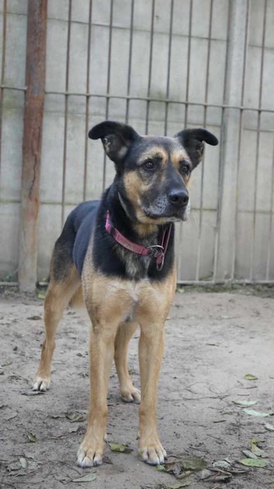 Radek - złamany przez Radysy. Nadal ma nadzieję.