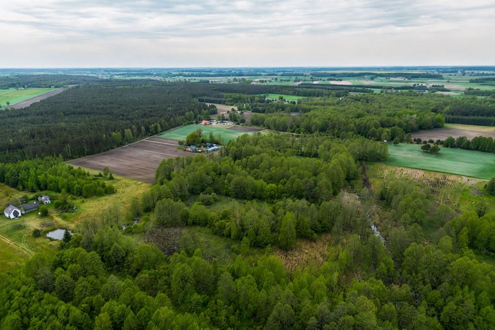 Sprzedam wyjątkową działkę bez sąsiadów z warunkami zabudowy - Widok 2
