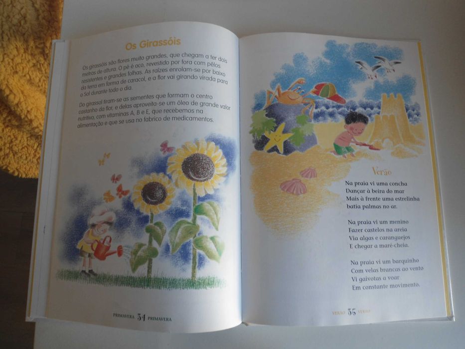 O Livro das 4 Estações