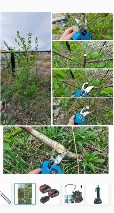 Sekator piła akumulatorowa  na wysięgniku sztycy xxxl 4szt akumulatoró