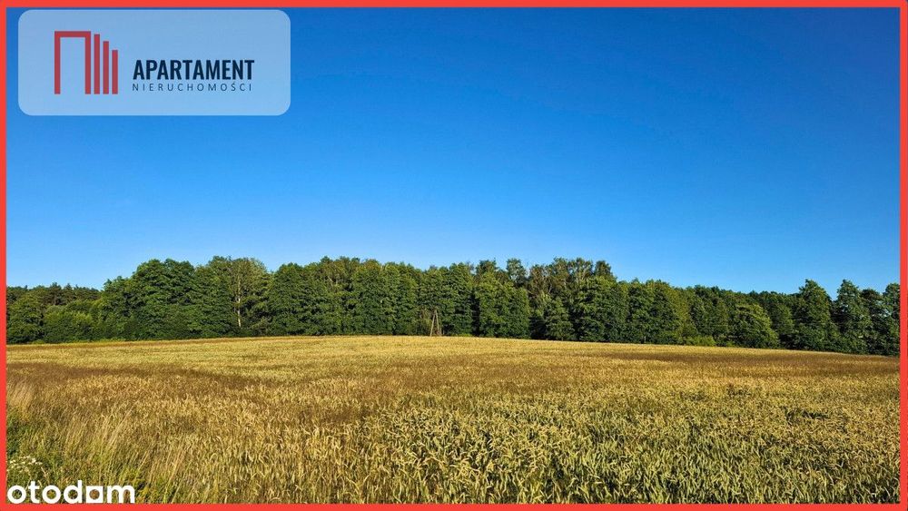 Budowlane 112zł/m2 Nekla niedaleko Jeziora Borówno