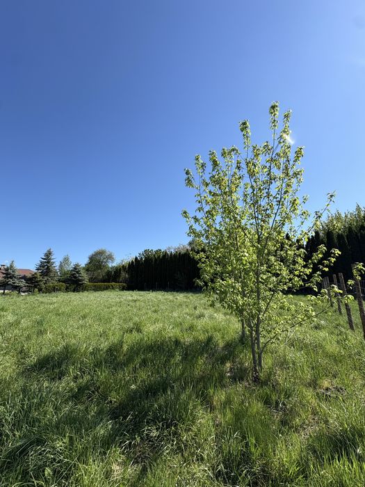 Dzialka budowlana 10 arów Zamość - Nowoczesne Osiedle - Widok 2
