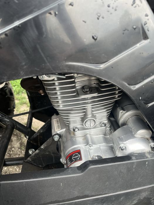 Quad bashan 250