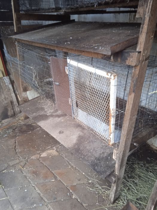 Клітки для кролів