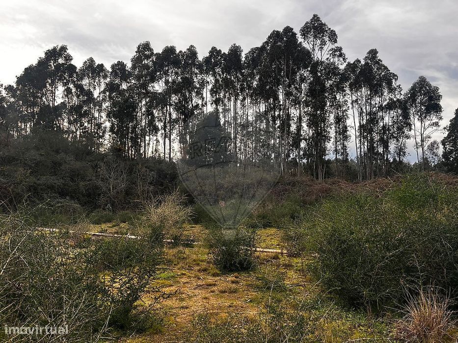 Terreno  para venda