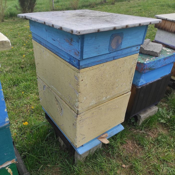 Ul wielkopolski, ule, pszczoły, odkłady