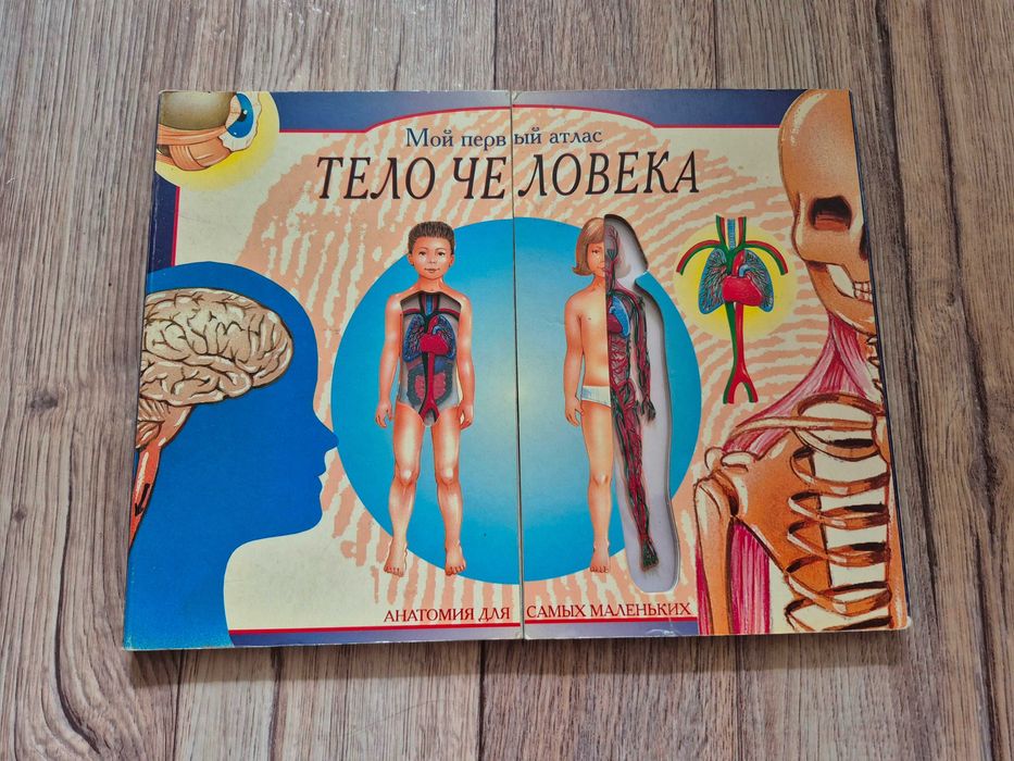 Мой первый атлас. Тело человека.