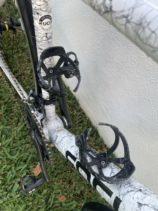 Focus cayo (tamanho S)