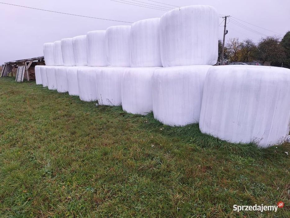 Sianokiszonka z koniczyny