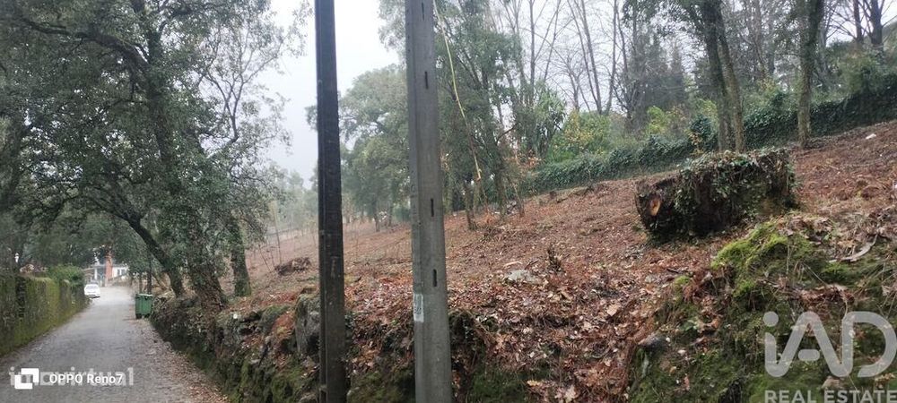 Terreno em Fornelo e Vairão