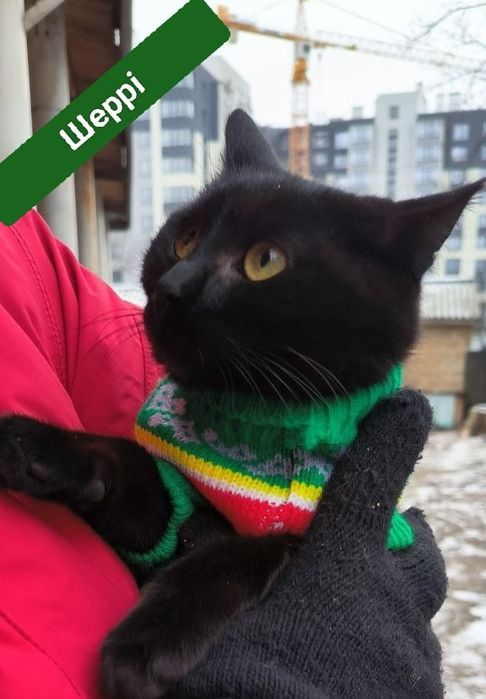 Мамо,знайдись,я тебе дуже чекаю!