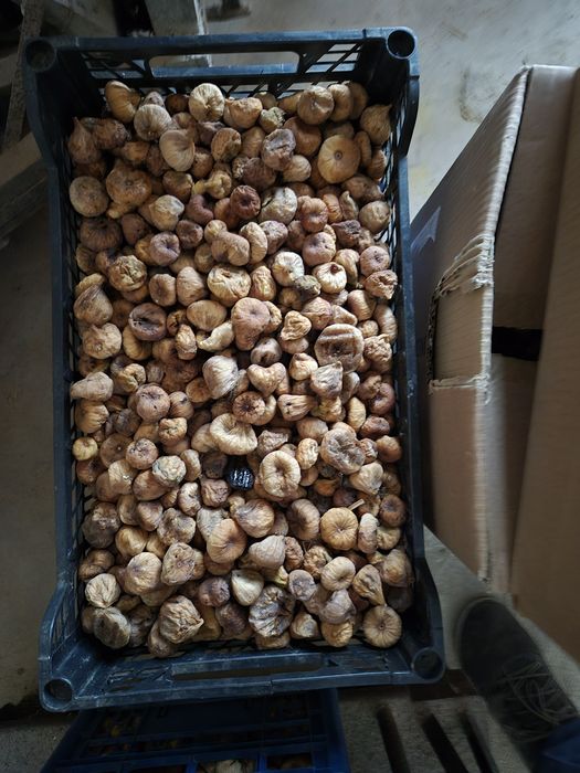 Figos secos do Algarve