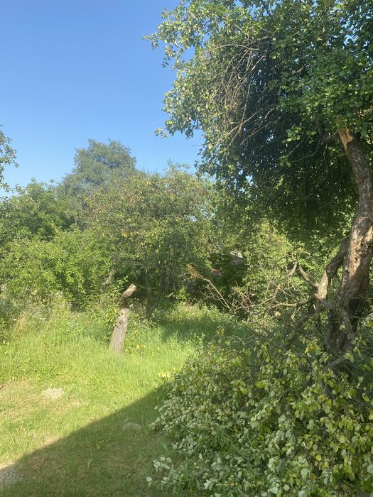 Продається господарство