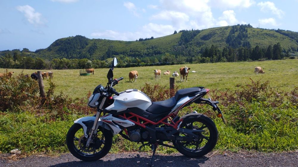 Mota Benelli BN 125  - 2021