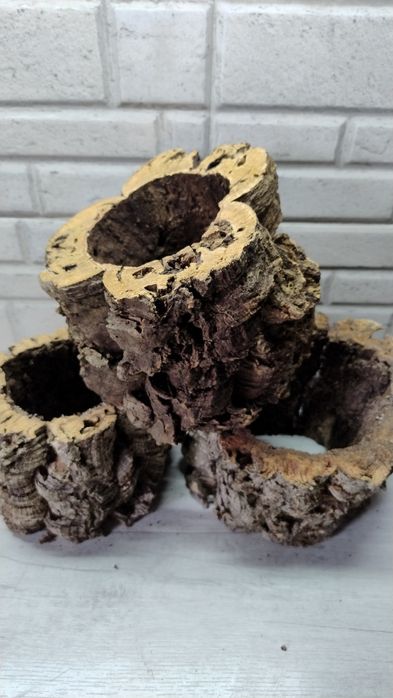 Бревно з коркового дуба для тераріума ( террариума )