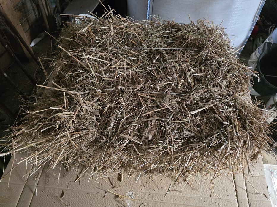 Słoma siano kostki w kostkach owsiana i z prosa