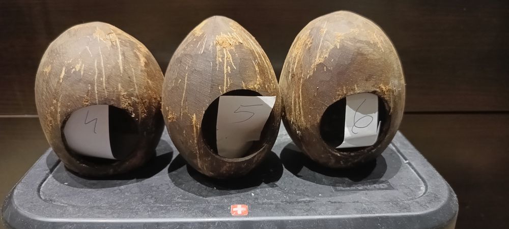 Domek orzech kokosowy szlifowany dla rybek ,płazy gady