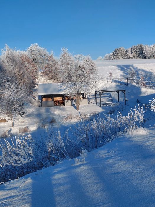 Domek na Kaszubach basen, sauna, jacuzzi, Kaszuby, domek nad jeziorem