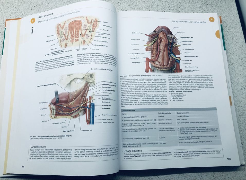 Atlas Anatomii Człowieka" autorstwa Sobotta