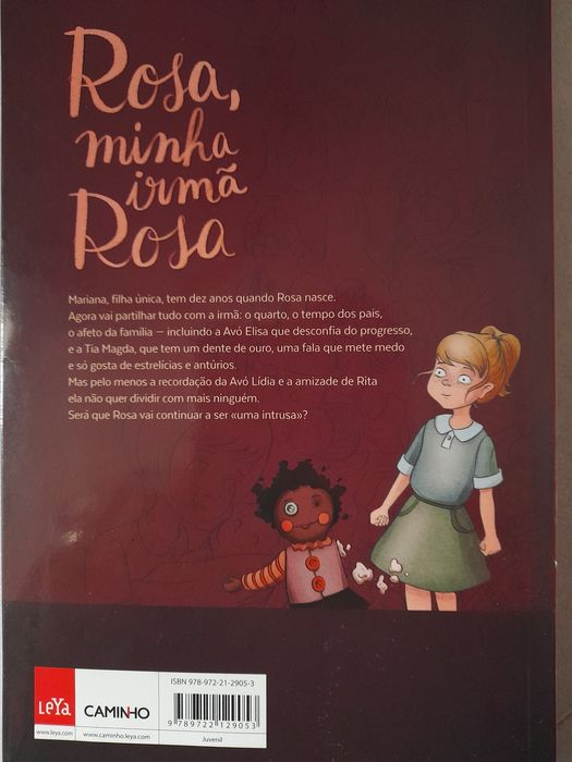 Livro Rosa minha irmã Rosa