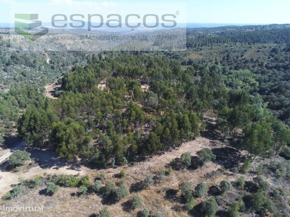 Terreno Rústico com 7 Hectares