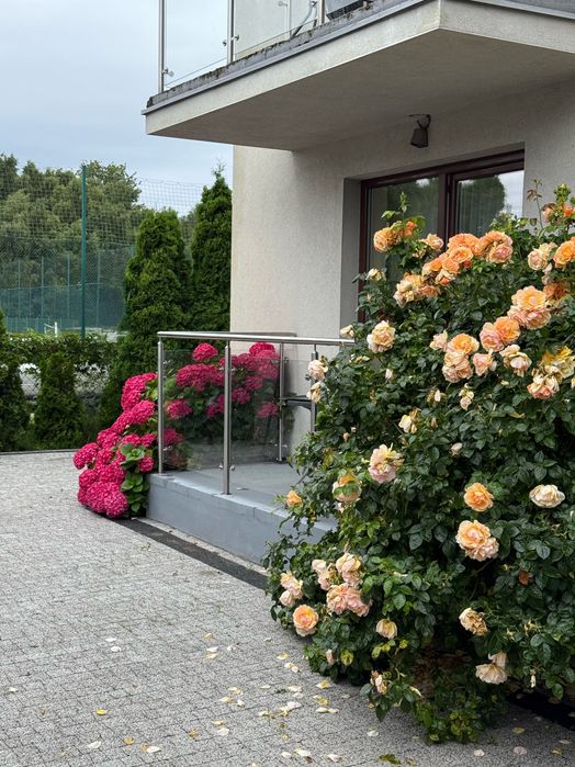 Pokoje gościnne Jastarnia Pensjonat HORN