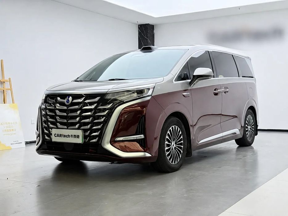 Denza D9 Denza D9 FV 23% Leasing nie V klasa nie Lexus LM