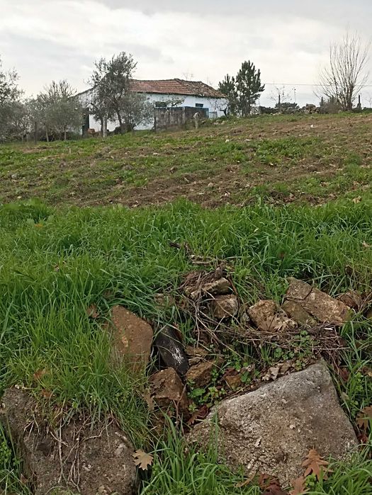 Terreno agrícola, casa, furo água, Alverca da Beira - Pinhel