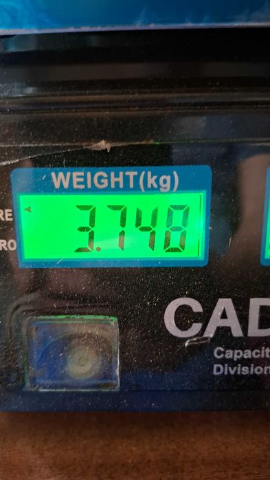 3,750 kg orzechów włoskich dla zwierząt