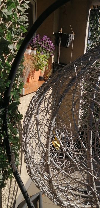 OGRODOWY fotel bujany typu kokon /jajo