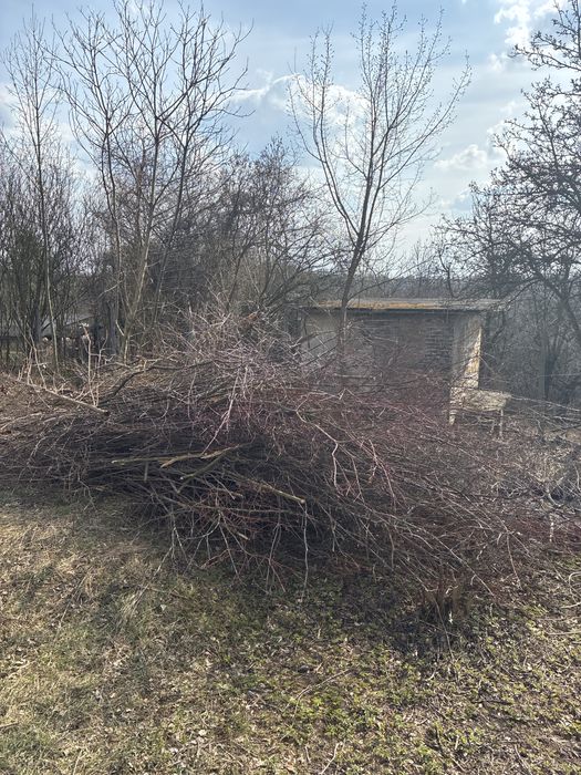 Drewnio z wicinki za darmo