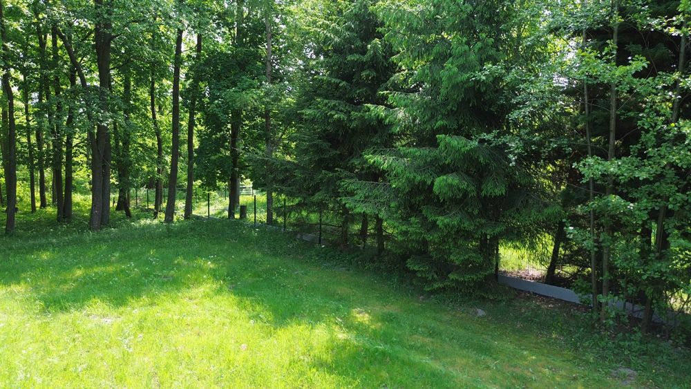 Działka 2500m2 Kałtki koło Starych Juch dostep do jeziora