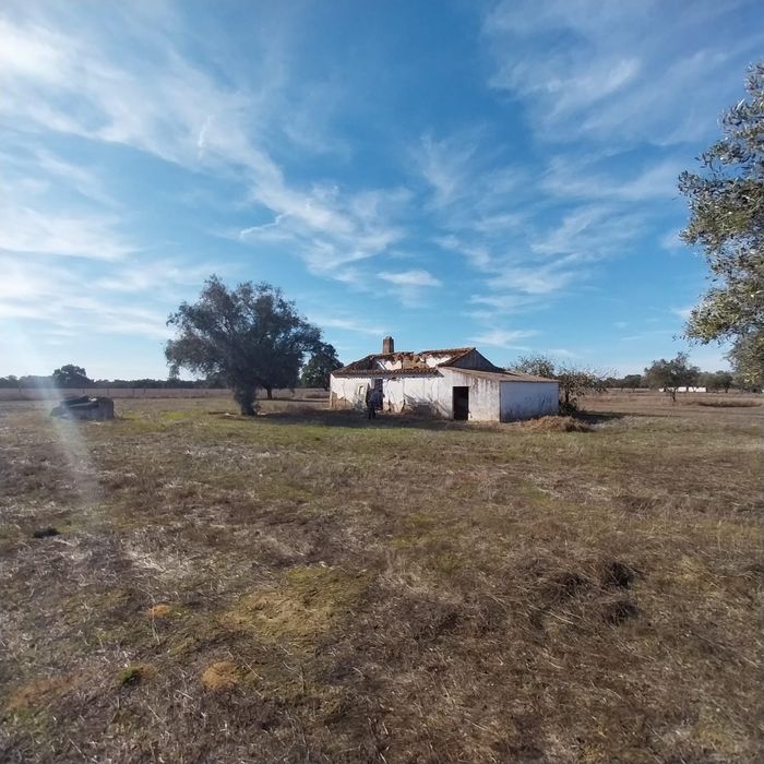 Quinta 12500m2 Alvalade