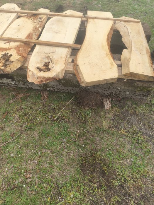 Sprzedam tarcicę dębowa