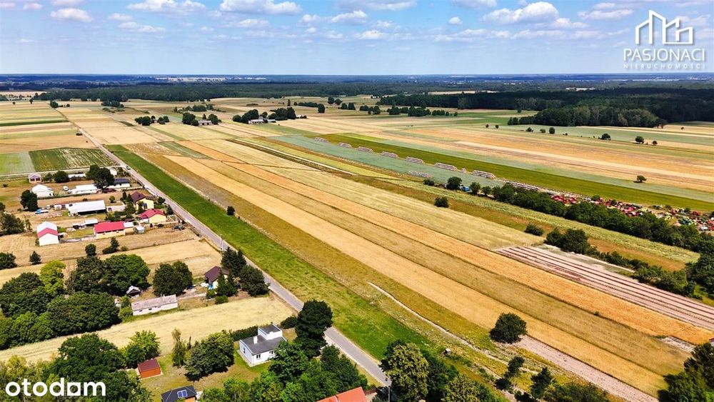 Działki pod dom | Mpzp | Droga asfaltowa