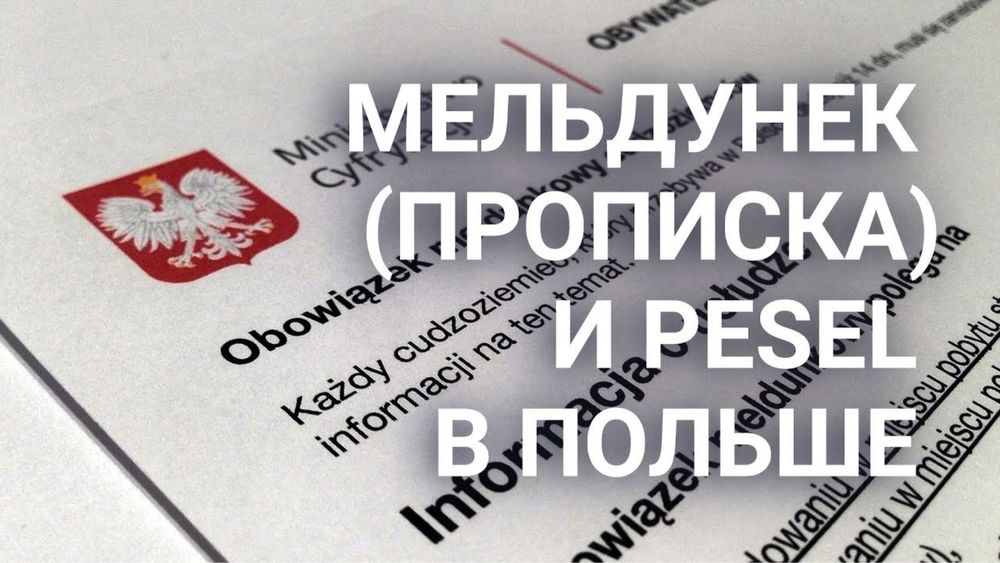 Tłumaczenie , переводчик , перевод , тлумачение, переклад документiв