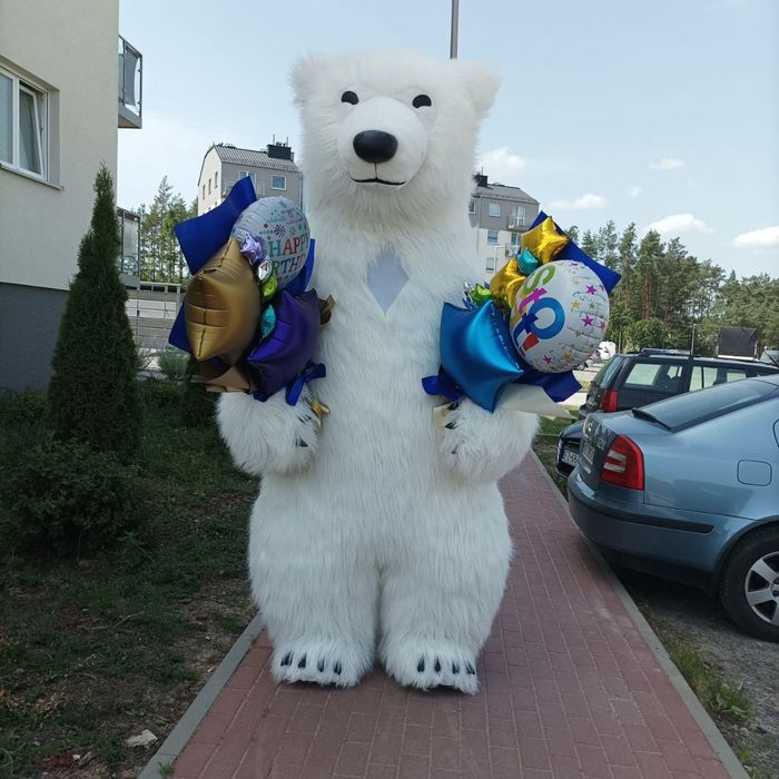 Biały Miś Barni żywa maskotka na imprezę
