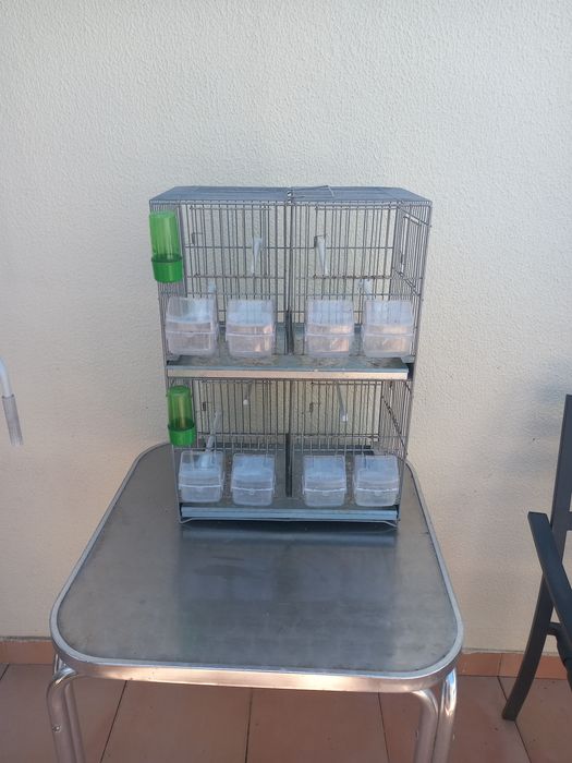Gaiola/viveiro duplo para canários ou aves de pequeno porte.