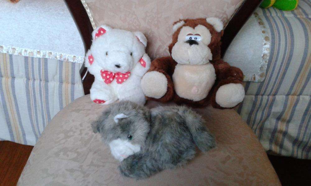 Bonecos de Peluche423261684315596802