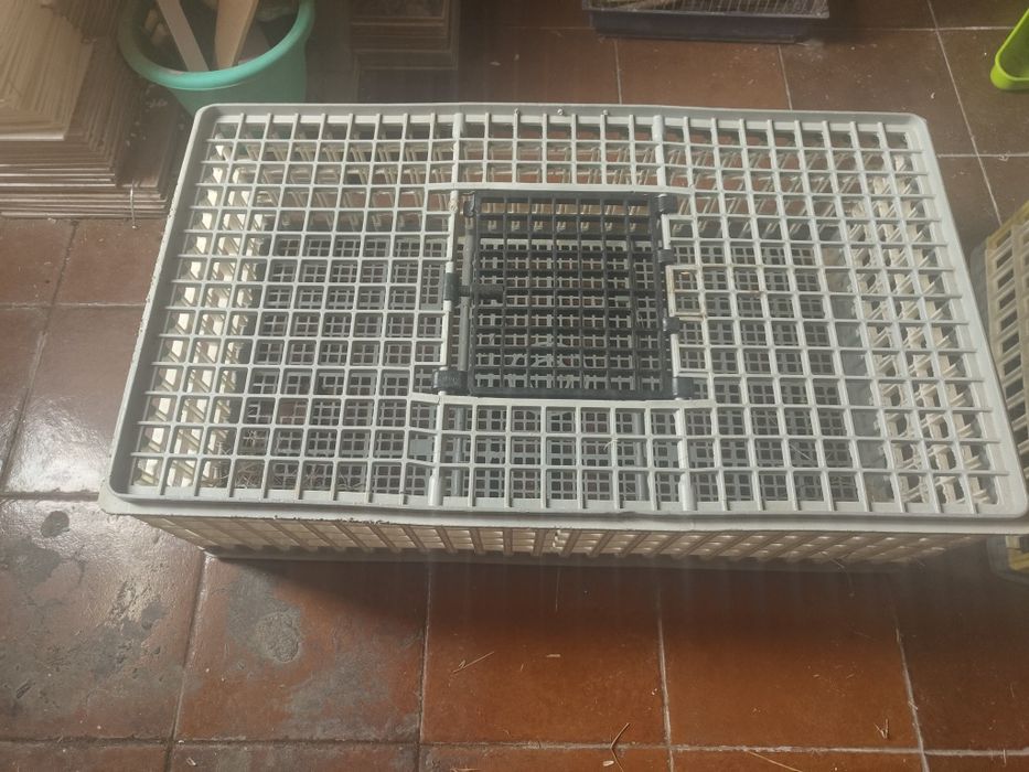 Gaiolas para animais