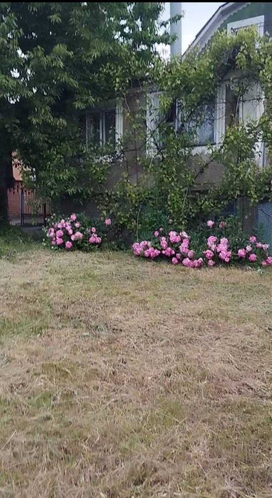 Продам будинок в Сабарові
