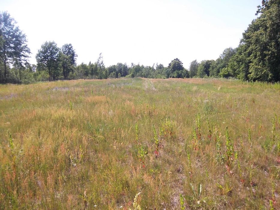 Продам приватизовану земельну ділянку